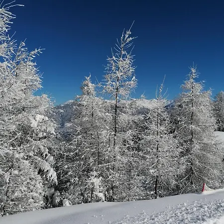 Alloggio per agriturismo Schottenhof *