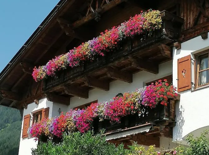 Schottenhof פולפמס