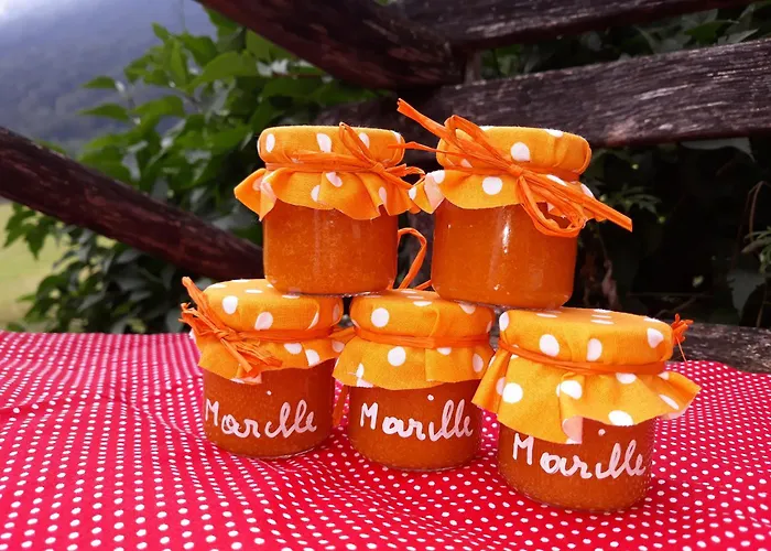 בית חווה Schottenhof