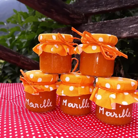 Gospodarstwo agroturystyczne Schottenhof