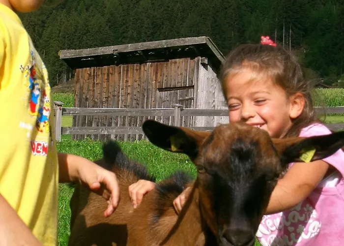 Schottenhof Farm stay