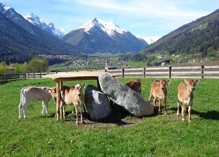 Farm stay Schottenhof *