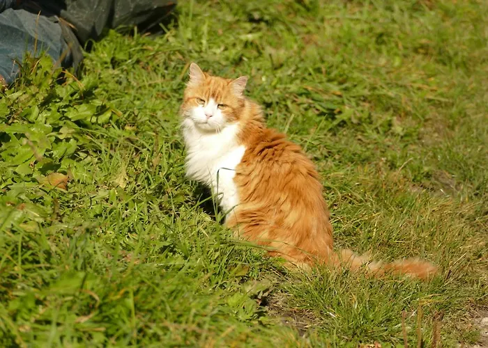 Farm stay Schottenhof